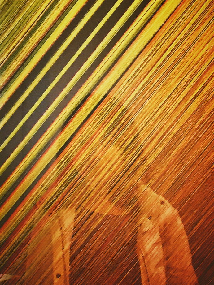 Self-Portrait, 2016, Washington, DC