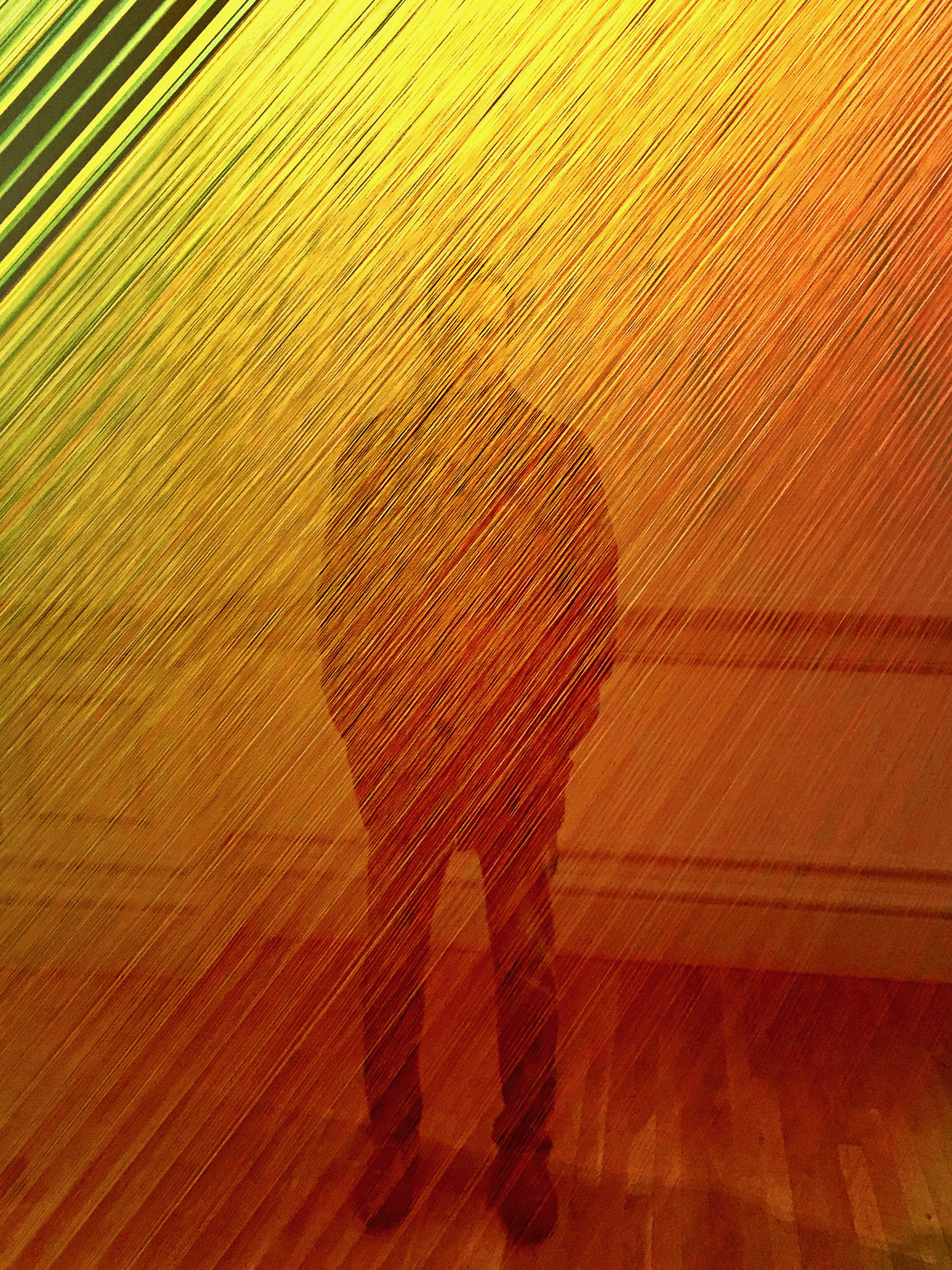 Unknowable Shadow